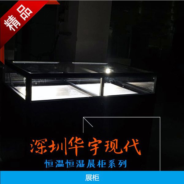 HYXD-KWSZ336高档恒温恒湿展示柜